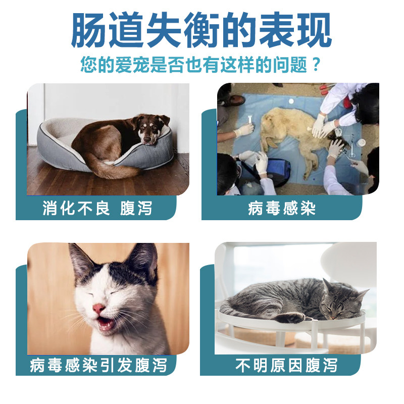 狗狗拉稀药+猫咪拉肚子腹泻急救手册:蒙脱石散止泻药,宠物肠胃炎救星!💊🐾-狗呼吸道疾病药品-淘宝百科网