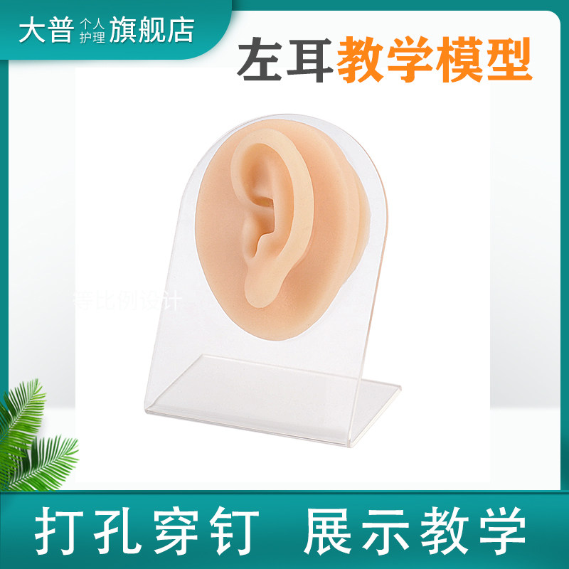 模拟耳朵模型 穿孔穿刺缝合练习耳部模型 耳垂环耳环钉展示模型