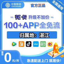 Guangdong Zhanjiang Mobile Phone Card Pure Traffic Internet Card Unlimited Speed ​​Universal Optional Number Flower Card 5G Card