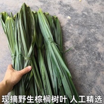 Fresh palm leaves straw rope fresh palm leaves rope for making zongzi bundling rope zongzi rope palm leaves freshly chopped