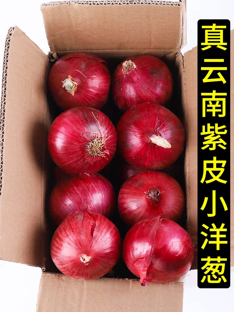 Fruit and onion sweet raw eating Yunnan purple skin small fresh 10 catties round can be a specialty vegetable farmhouse