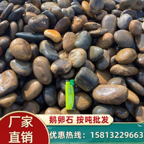 Natural river pebbles for substation pebbles pebble filter material river beach stone five-color pebbles for river pebbles