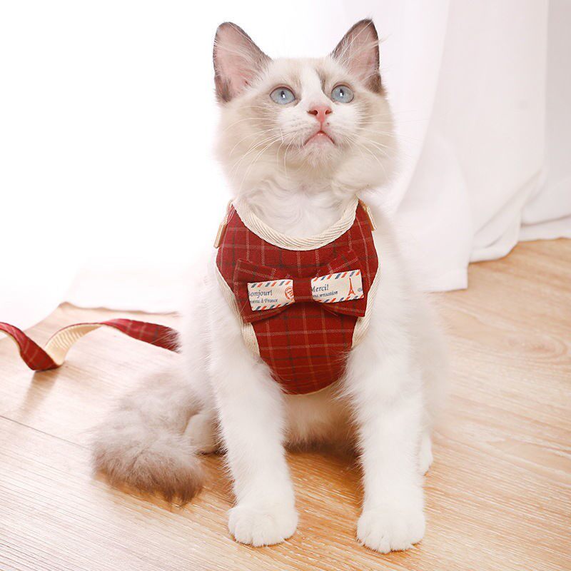 Cat rope traction rope net infrared out to prevent breaking loose cat adjustable chain cute kitten vest collar chest back