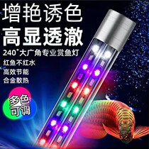Fish tank led lamp holder aquarium lighting water grass lamp bracket lamp energy saving high brightness clip lamp Bright Color lamp Professional