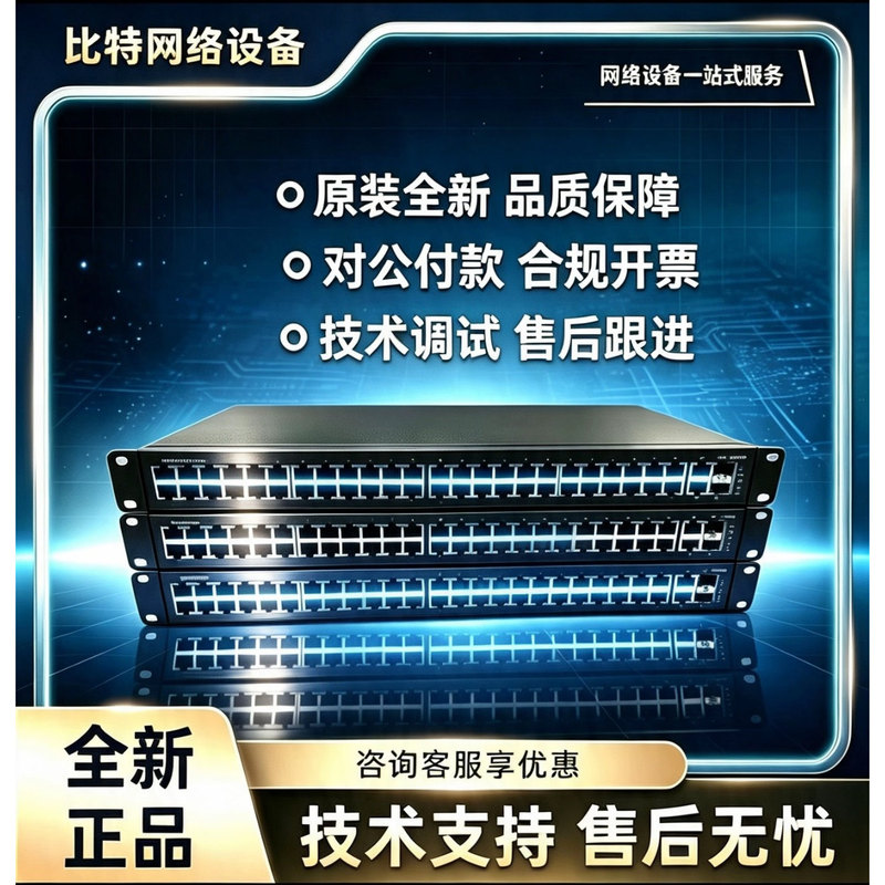 S1205V-Pwr/S1208V/-Pwr/-Hpwr Gigabit Poe Switch for Security Monitoring Power Supply
