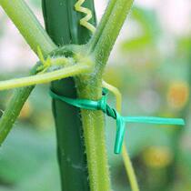 Horticultural Flower Potted Plant Climbing Vines Styling Tie Wire Wrap Plastic Wire Home Floral Handmade Diy Soft Zare