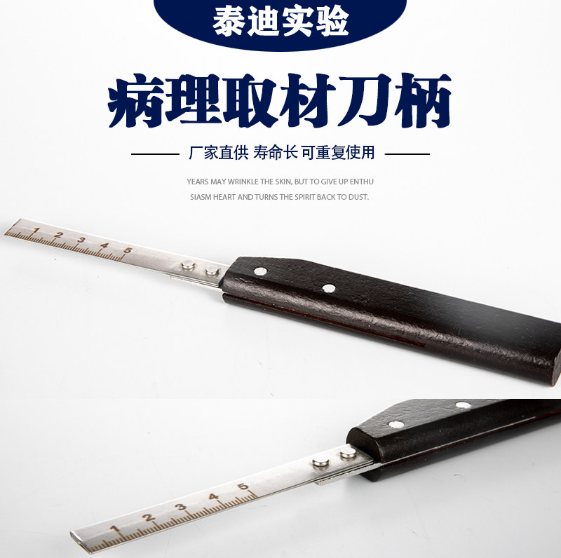 实验病理级取材刀柄病理实验组织器材 病理取材刀柄 取材刀柄 配徕卡羽毛刀片 配德国徕卡刀片 日本羽毛刀片