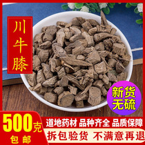 Sichuan Achyranthes 500g matières médicinales chinoises racine de laque de vache sauvage laque de bœuf du Sichuan bœuf du Sichuan Xichuan Achyranthes poudre vache sept