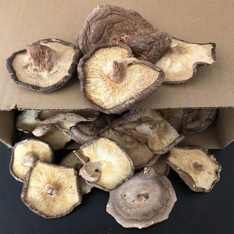 Hubei big shiitake mushroom commercial bulk farmhouse super large piece of fresh wild dried shiitake mushroom dry goods new goods 500g