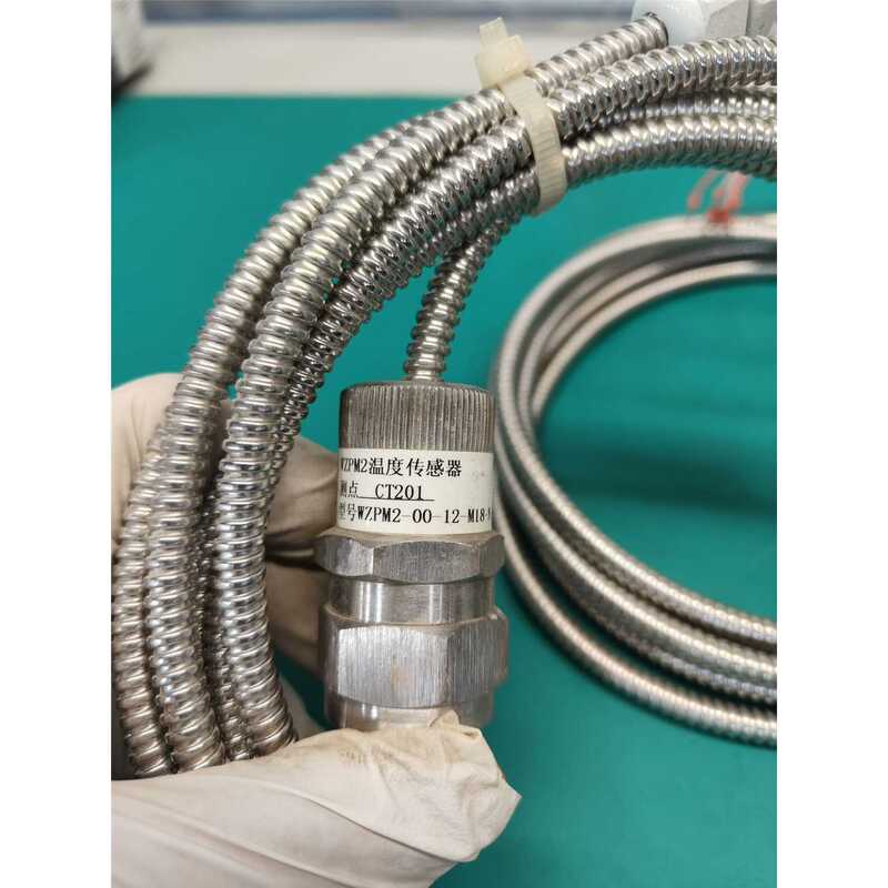 Negotiable Price~Wzpm2 Series End-Face Platinum Thermistor Temperature Sensor, Model Number Wzpm2-0 Negotiable Price~Wzpm2 Series End-Face Platinum Thermistor Temperature Sensor, Model Number Wzpm2-0