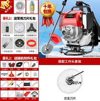 Импортный четырехтактный рюкзак + роскошный подарок + одна машина, один код, гарантированная подлинность (обычная бытовая модель)