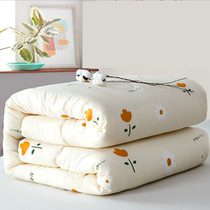 Xinjiang Cotton Quilt Winter Quilt Core Thickened Warm Winter Cotton Quilted Bedding Single Student Dormitory Air Conditioning