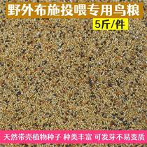 Small bird food outdoor bird food sparrow and dove bird food natural bird food special shelled food for outdoor feeding