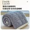 Winter Taffeta Milk Velvet Mattress Pad Soft Cushion for Dormitory Students Single Thickened Warm Blanket Pad Quilt