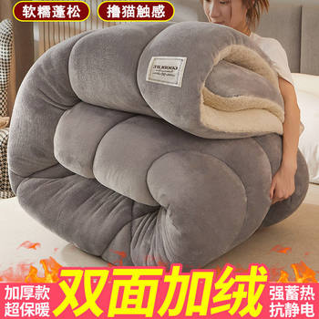 Lamb Wool Quilt, Cotton Quilt, Winter Quilt, Fleece-Lined and Thickened, Autumn and Winter Quilt Core, Warm Winter Quilt, 10 Pounds, 2024 New Model, Single-Person Quilt