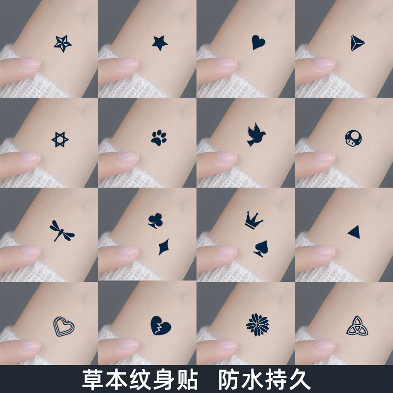 Herbal Tattoo Stickers for Men and Women, Waterproof, Long-Lasting, High-End Feel, Simple Mini Patterns, Cartoon Style, Cool and Unique