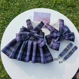 Клетчатая юбка, клетчатая крышка, домашняя собака и жилет кошачья тарелка