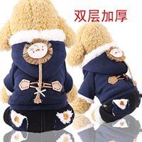 Четырехногнутый косичка лев прячется синим цветом