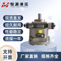 Jiangsu Hengyuan HY10 16 25 32 55 63M-RP LP axial piston pump special pump for filter press
