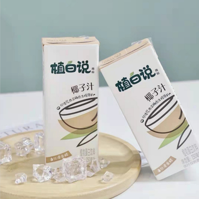 植白说椰子汁饮料植物蛋白饮料清爽不甜腻250ml*6盒