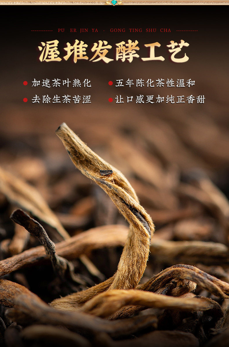 12-63f58ba67a89f.jpg 
