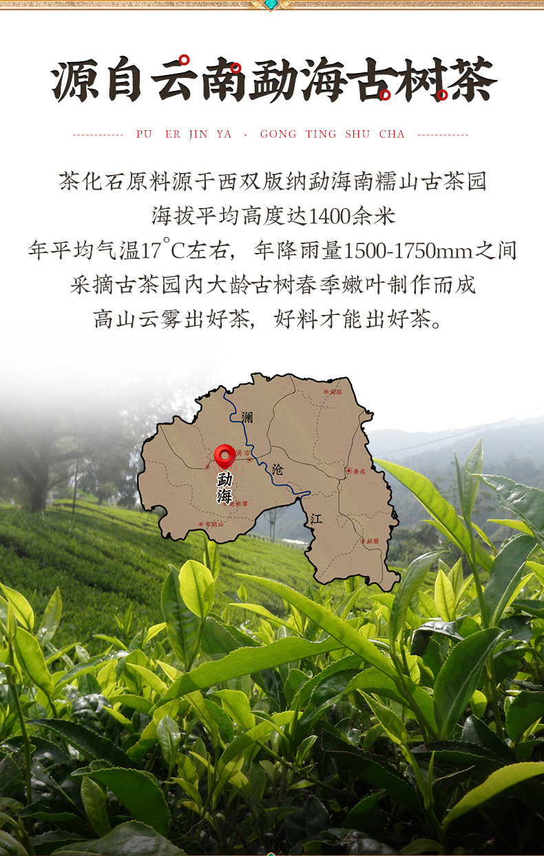 11-63f58ba681506.jpg 