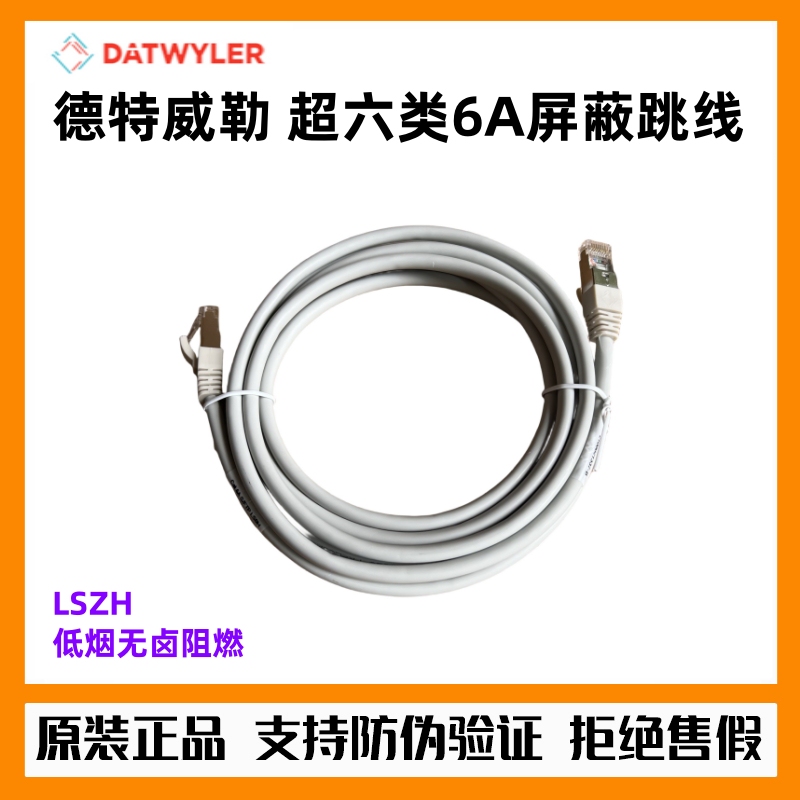 Detweiler Category <ne6> 2.4m 5.1m /15 Shielded Network Cable Cat6A 10g S/Ftp Double Shielded Patch Cord