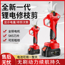 German branch cut handheld lithium electric garden pepper scissors pruner with high branches and coarse branches cut fruit tree electric shears lengthened