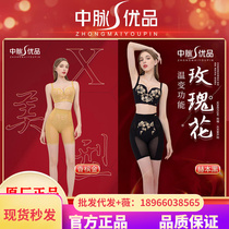 Medium veins Youpint Royal ADJUSTED UNDERWEAR COMFORT NO STEEL RING PURE COLOR WITHOUT MARKS AND FIXED FULL CUPS UNDERWEAR