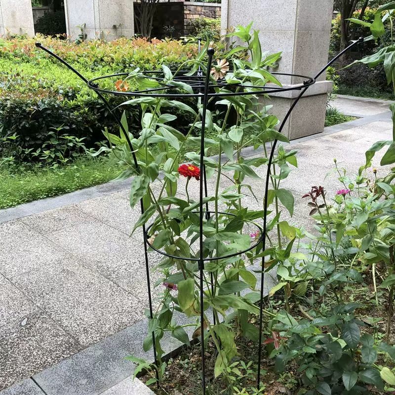 Hydrangea flower frame iron crab claw orchid hydrangea blue snowflake rose flower frame climbing rattan shelf support frame fixed flower bracket