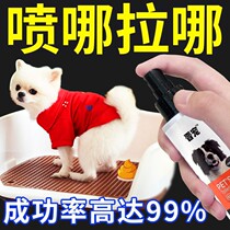 Defecation supplies Pinpoint Defecation Urine urine Training Toilet Lotion to guide pet pooch Toilet Inducement