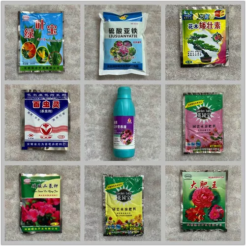 Роза Роза Гидрангея садовник садовник много поставляется с большими толстыми цветами короля