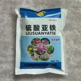 Роза Роза Гидрангея садовник садовник много поставляется с большими толстыми цветами короля