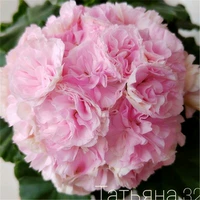 22. Свадебное платье