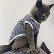 Pet cat clothes anti-lint thin spring and summer vest sleeved striped cute English short puppy supplies