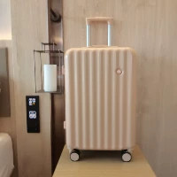 Обновите порошок кизила