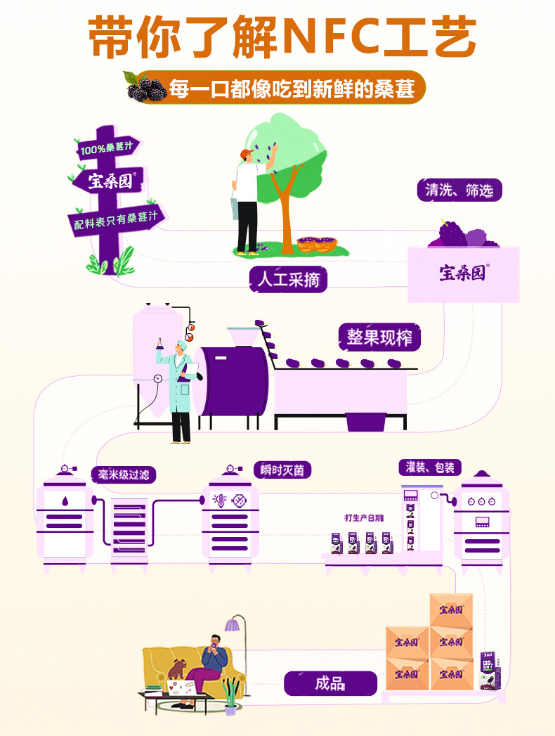 安享好物 安享A级果汁-宝桑园100% NFC桑果汁 国标 