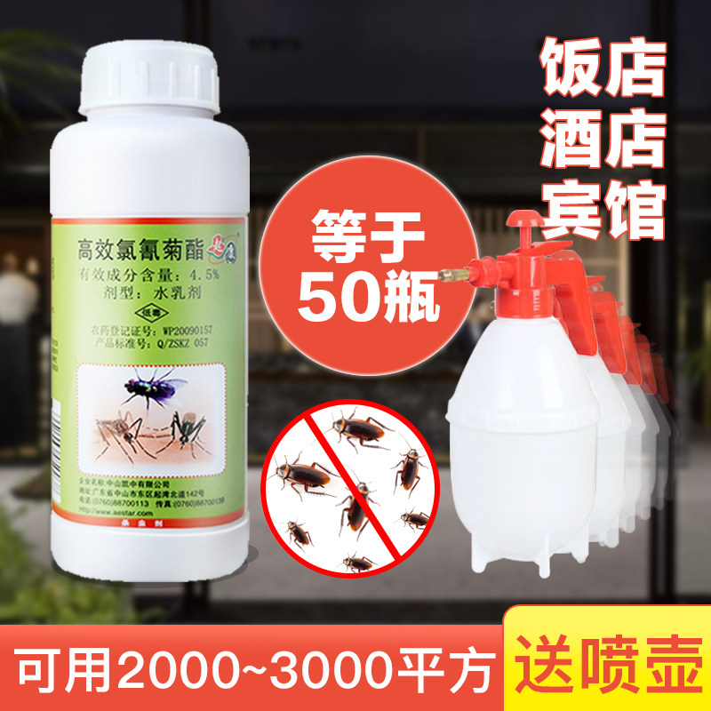 Cockroach medicine commercial dining room special insecticide hotel hotel household non-toxic one full nest kill large area