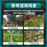 Растение антистингового агента сохранение цветов цветов ингибирует испарительные саженцы, саженцы, устойчивость к засухе, потерю воды, анти -японская скульптура