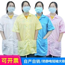 Summer anti-static clothes short-sleeved coat dust-free food workshop electronics factory cleaning protective work clothes for men and women
