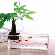 GRP Flower Pot Table Transparent Glass Vase Hydroponic Rectangular Water Nourishing Plant Container Creative Fish Tank Flower Pot