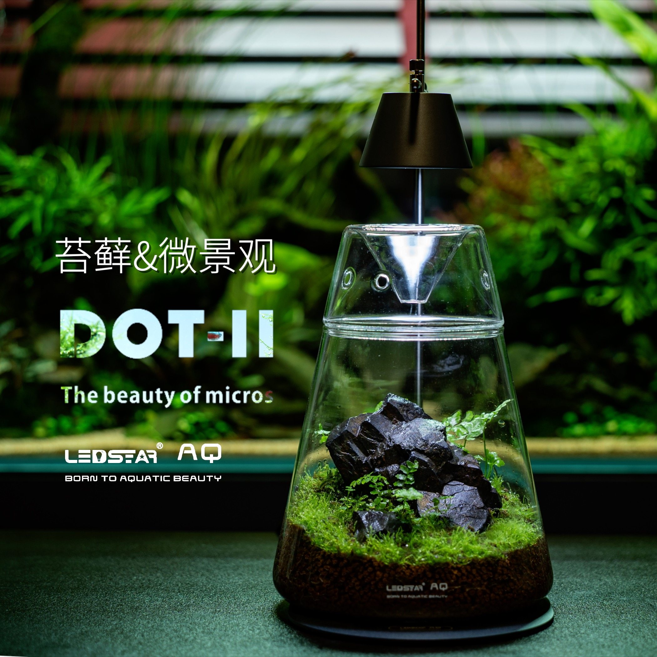 水草泥生态瓶：打造梦幻桌面微景观，让生活充满绿意🌿 -生态瓶-淘宝百科网