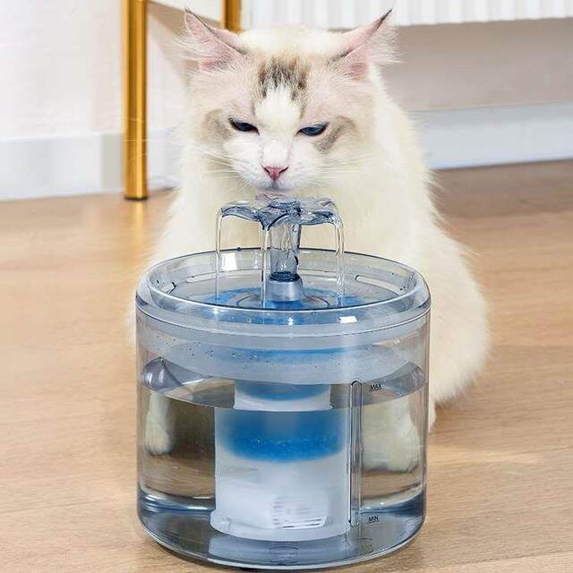 Pet water dispenser automatic live water cat water dispenser transparent constant temperature smart cat and dog water dispenser pet daily necessities