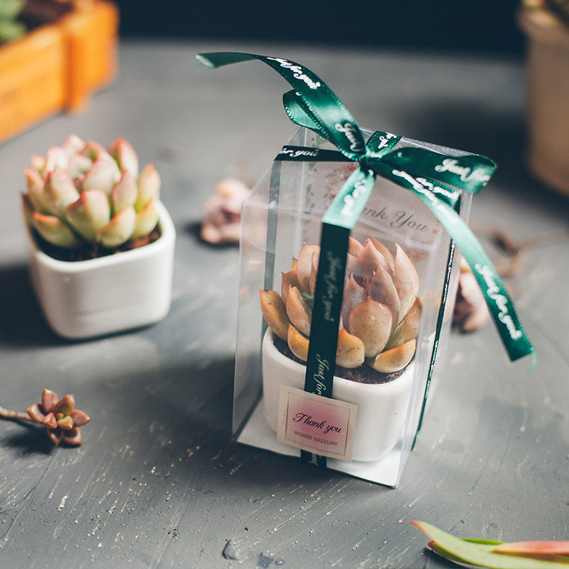 Teacher's Day handmade diy gift succulent plant gift box with hand gift for female teacher decoration creative high-end gift