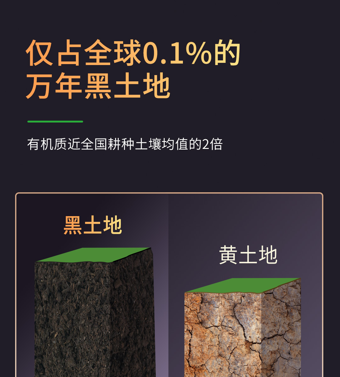 北纬47°东北黑珍珠糯玉米200g*6穗