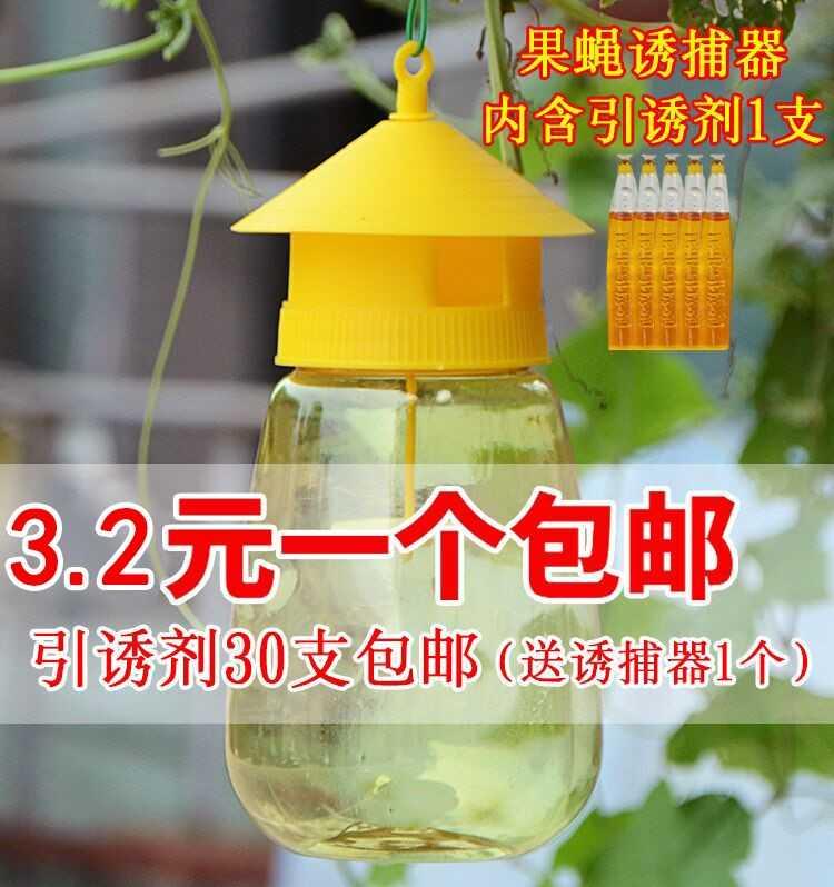Enemy fruit fly paste fruit fly sticky board melon fruit fly attractant sticky bee trap fruit fly paste orchard sticky fly