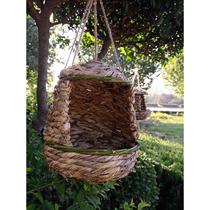 Bird Nest Hanging Nest Outdoor Bird Nest Octave Magpie Spotted Dove Dove Pigeon Park Courtyard Community Wild Bird Roosting Nest
