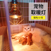 Pet heating lamp cat and dog kennel heating artifact hamster parrot bird crawling pet special heating and insulating box