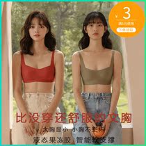 No steel ring bra large breasts with small breasts to woo thin young girl students Spring and autumn Modale Summer wide shoulder strap lingerie winter