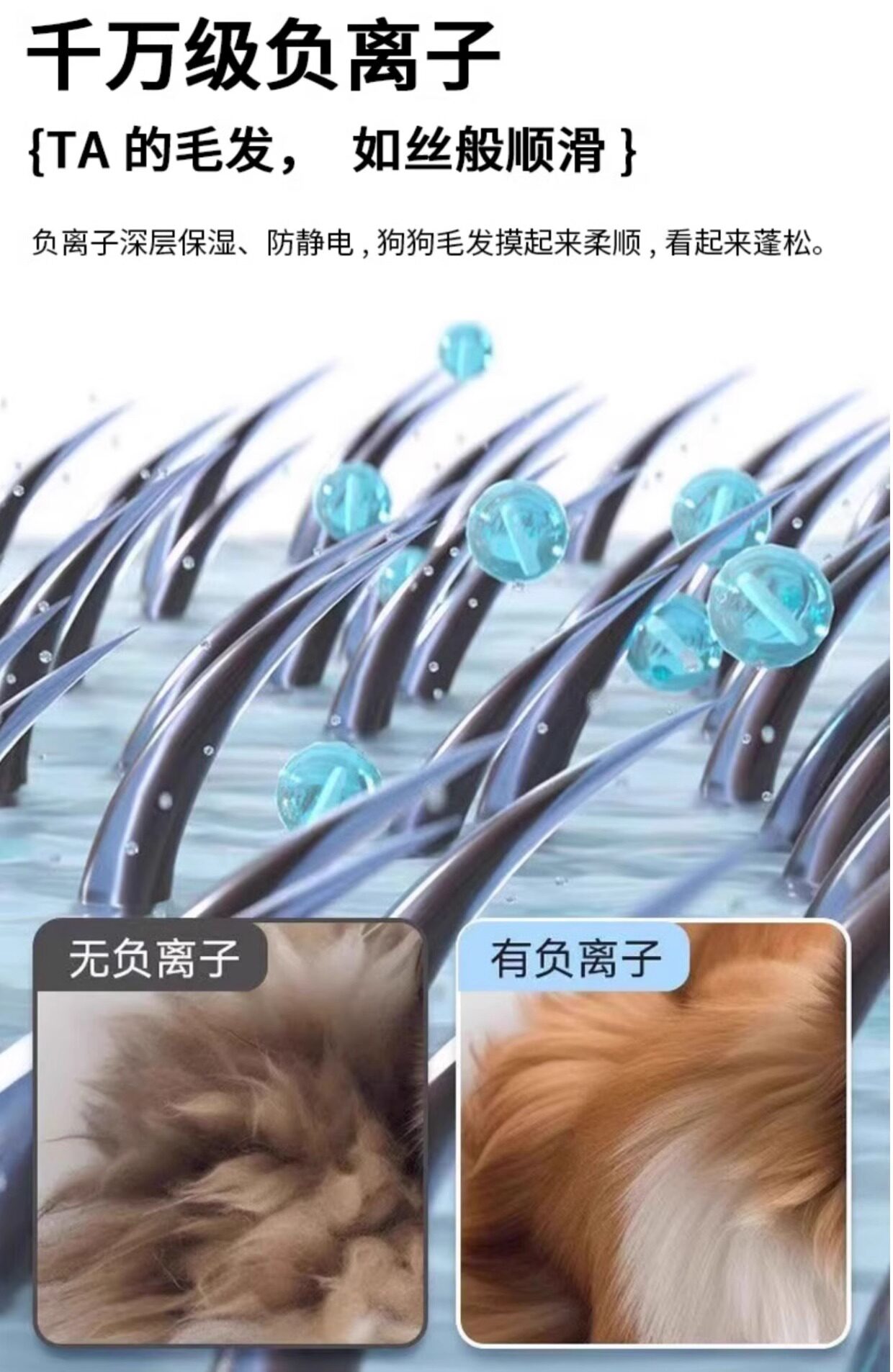 ПЭТ сушильный элемент 贝艾贝宠物烘干箱猫咪自动吹干机家用狗狗洗澡吹毛吹风吹水神器
